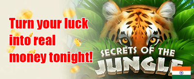 Mega Slot Free Spins Bundle promotion
